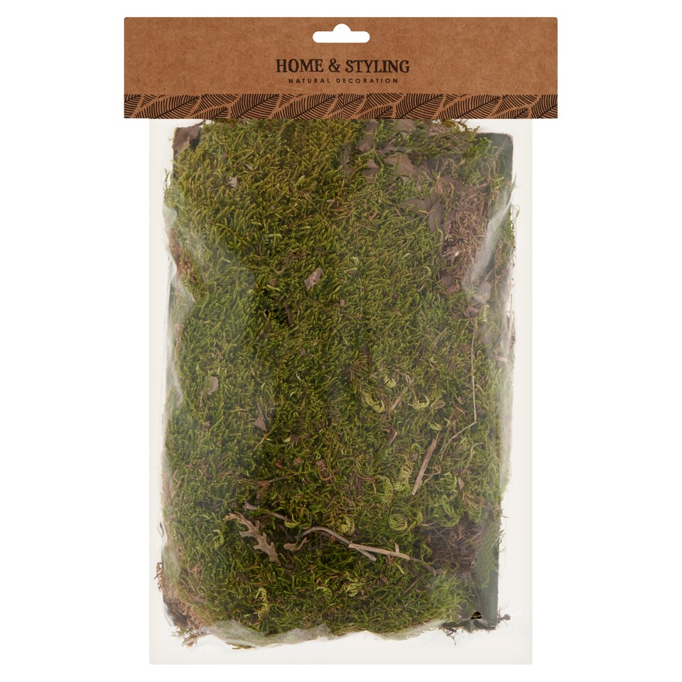 Home & Styling Natural Decoration