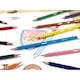 image 4 of Bickid Pncs 24