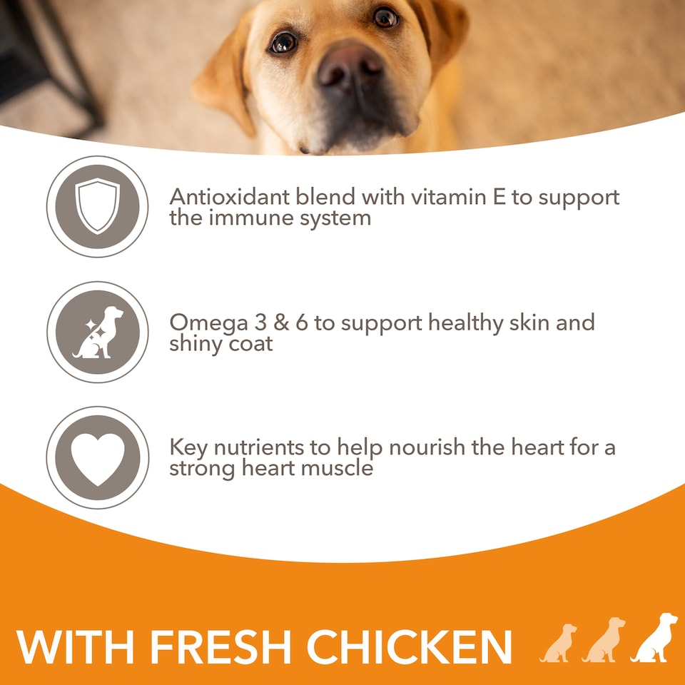 image 1 of Iams Large Adult Dog Food With Chicken 2Kg
