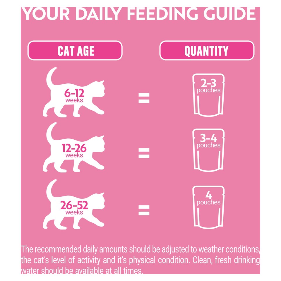 image 1 of PURINA ONE Kitten Mini Fillets Salmon and Chicken Wet Cat Food 8x85g