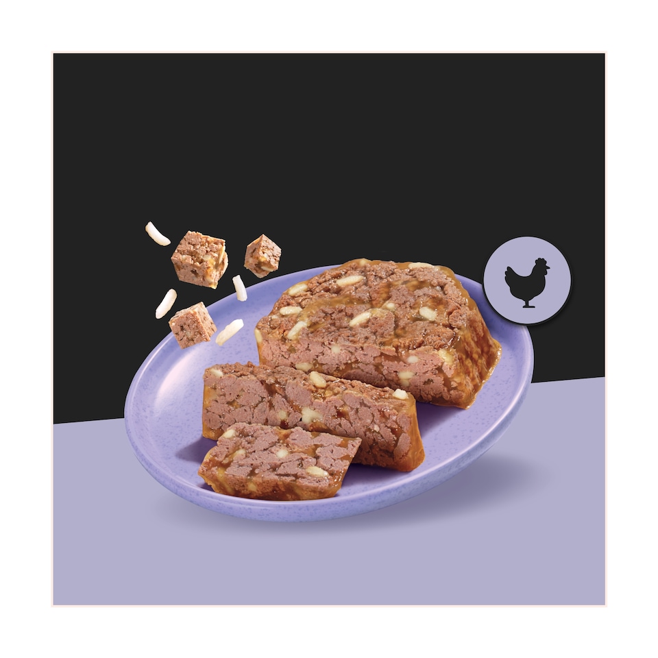 image 1 of Cesar Senior Wet Dog Food Trays Meat in Delicate Jelly 8 x 150g