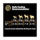 image 5 of Cesar Senior Wet Dog Food Pouches Mixed in Sauce 12x100g