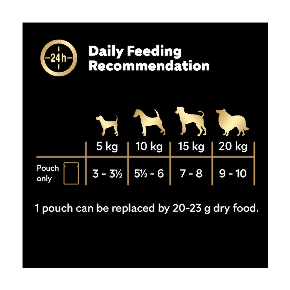 image 1 of Cesar Senior Wet Dog Food Pouches Mixed in Sauce 12x100g