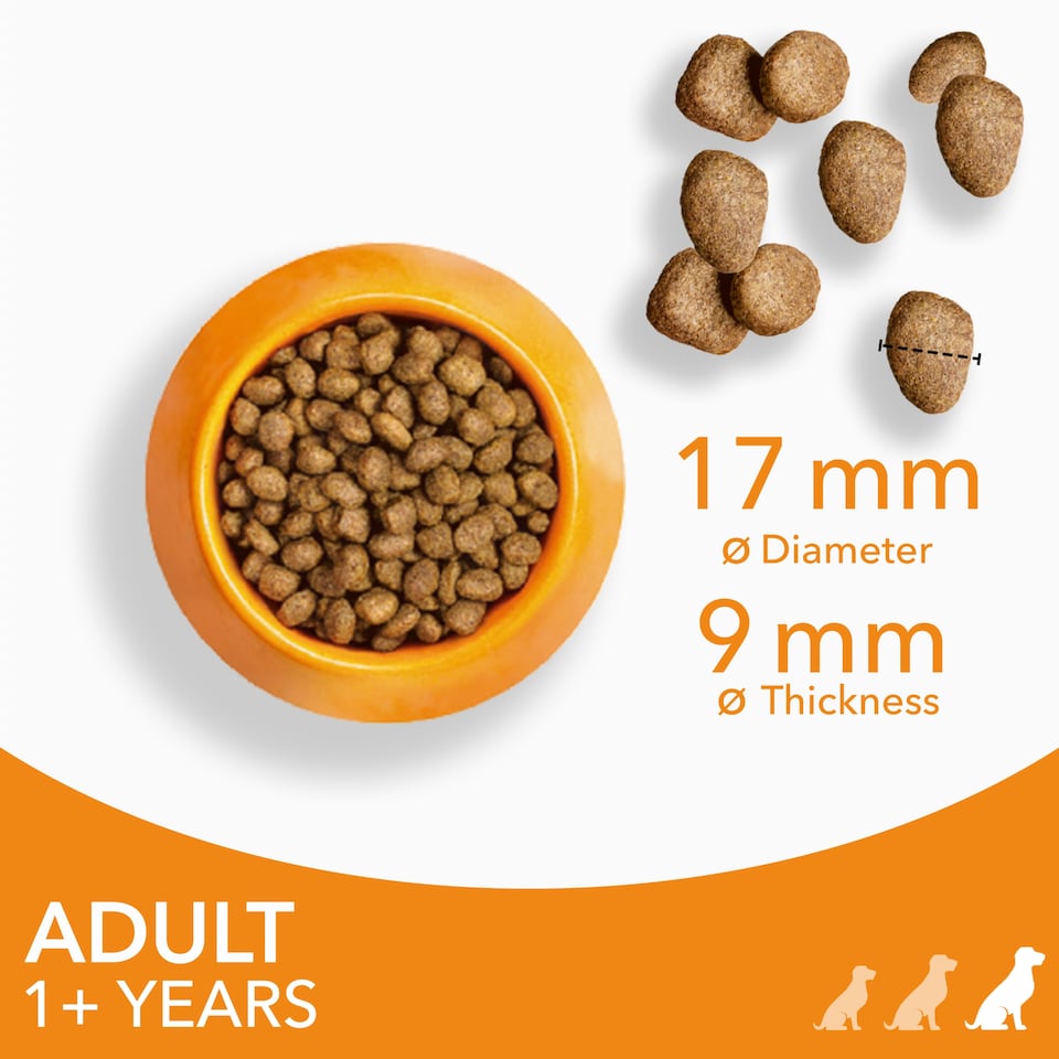 image 1 of Iams Large Adult Dog Food With Chicken 2Kg