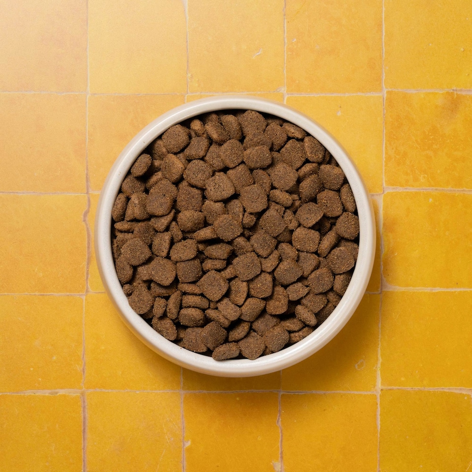 image 1 of Pooch & Mutt Adult Chicken & Superfoods Complete Dry Dog Food 1.5Kg.