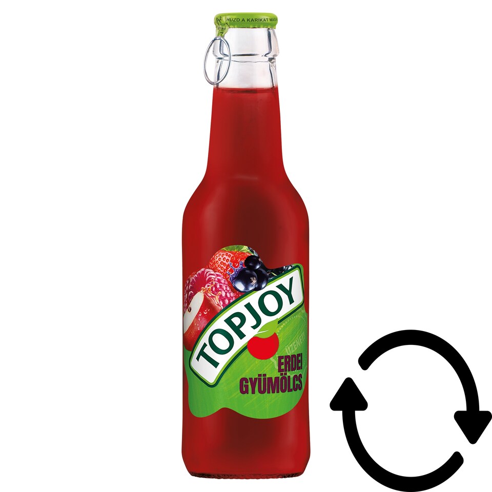 Topjoy erdei gyümölcs ital 250 ml