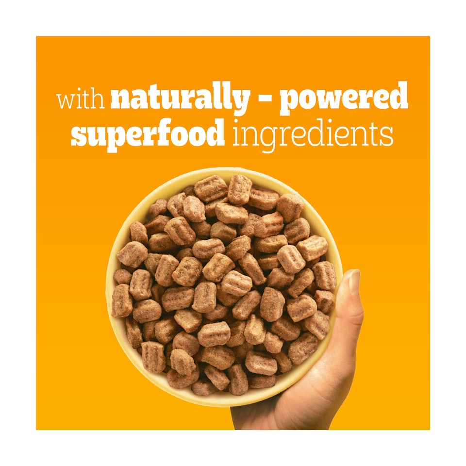 image 1 of Pedigree Dry Adt/Dgfd Poultry And Vegetables 3Kg