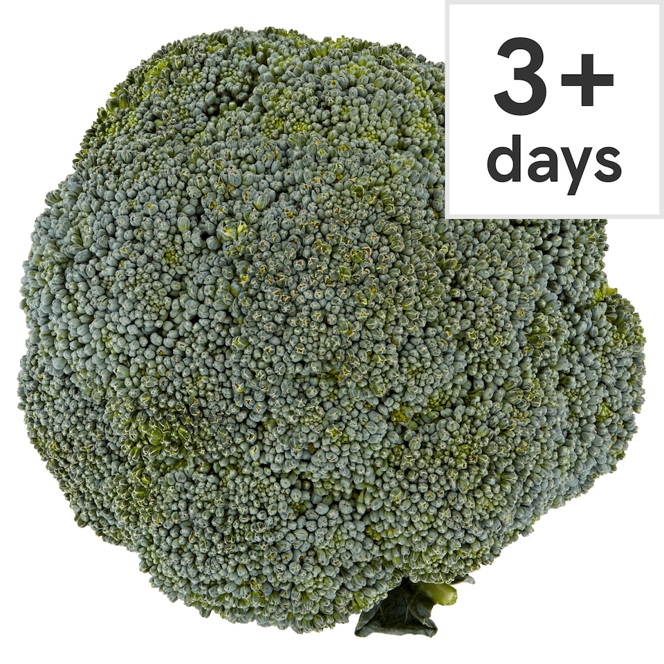 image 1 of Tesco Large Broccoli Pack 500G