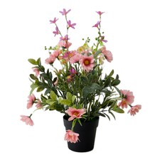 BAYSWOOD WILDFLOWERS IN BLACK POT