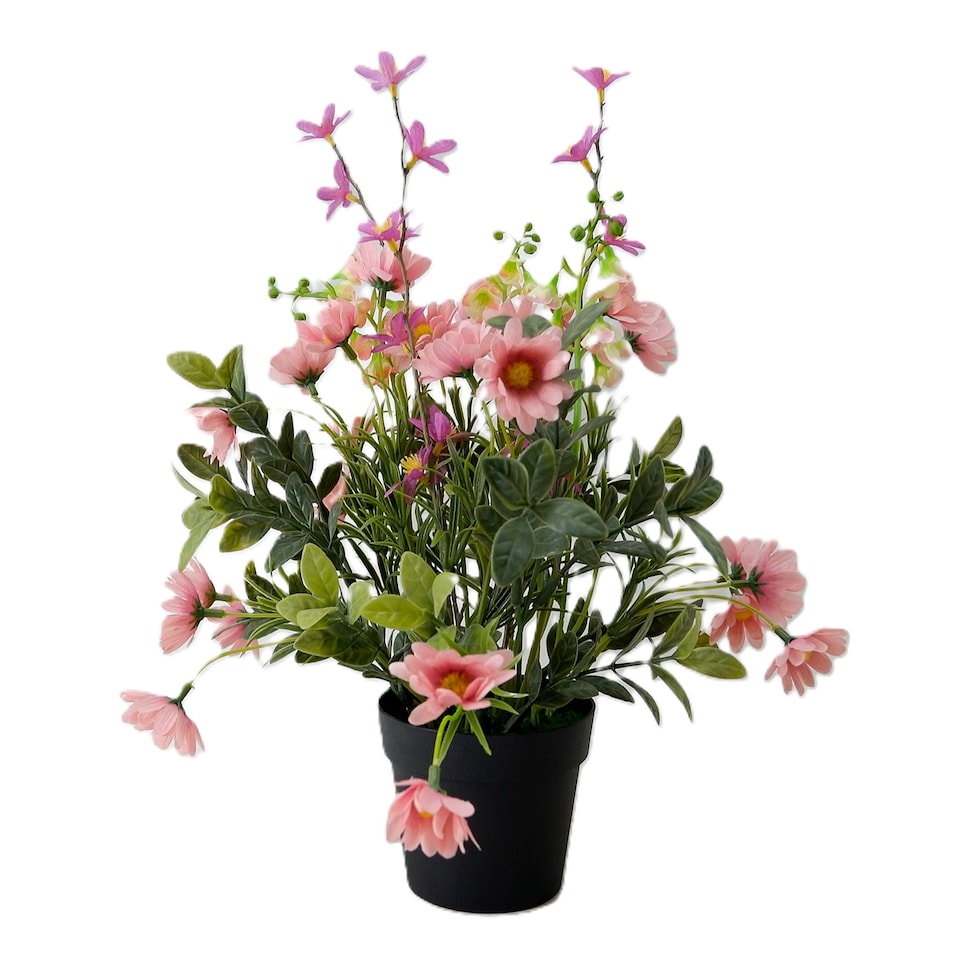 BAYSWOOD WILDFLOWERS IN BLACK POT