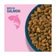 image 4 of Perfect Fit Adult 1+ Dry Cat Food - Salmon 750g