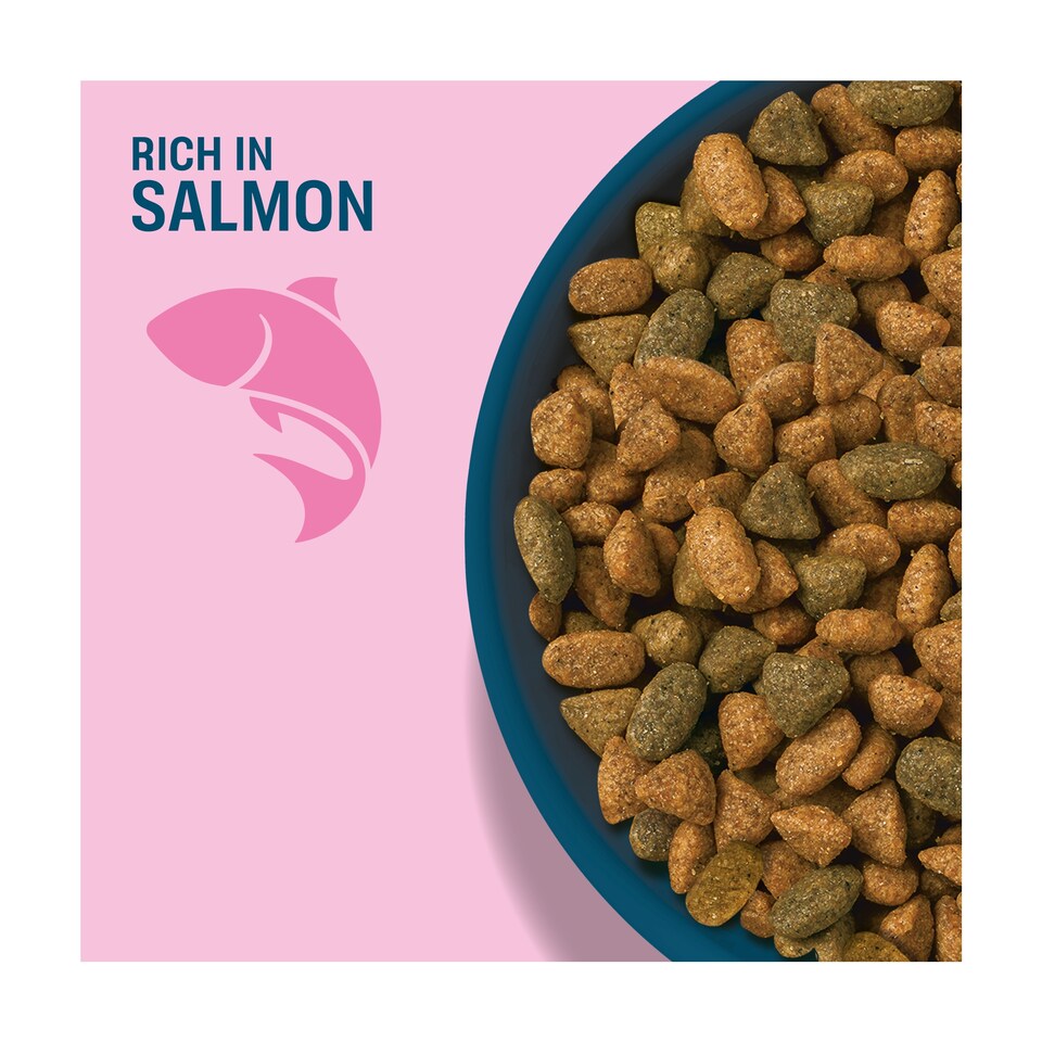 image 1 of Perfect Fit Adult 1+ Dry Cat Food - Salmon 750g