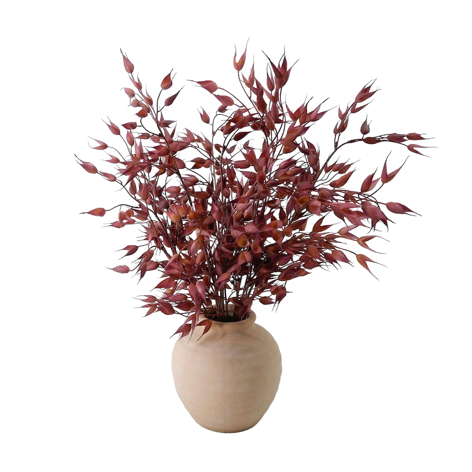 Bayswood Ruscus Arrangement