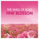 image 4 of Bold All In One Washing Pods Pink Blossom 51 Washes 989.4G