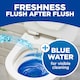 image 5 of Bloo 2in1 In-Cistern Original Blue Toilet Blocks 2 x 50g