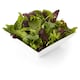 image 2 of Tesco Peppery Babyleaf Rocket Salad 90G (C)