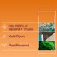 image 4 of INEOS Antibac Multi-Room Wipes Mandarin & Pomelo 60 Sheets