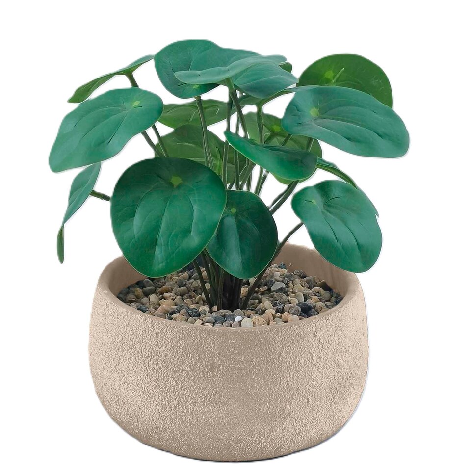 Bayswood Artificial Chinese Money Plant