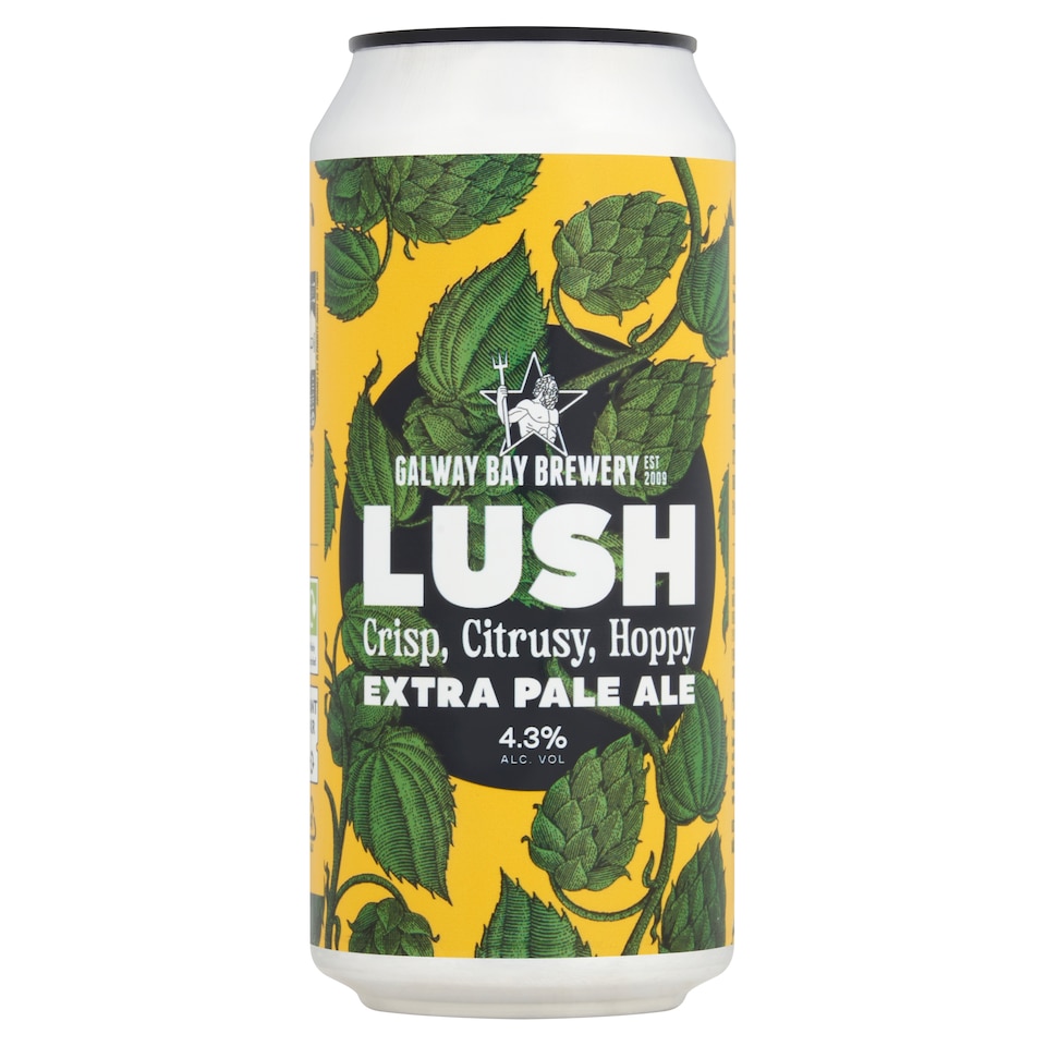 GALWAY BAY LUSH 440ML