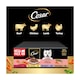 image 3 of CESAR Adult Wet Dog Food Pouches Sauce Mixed Selection in Gravy 40x100g