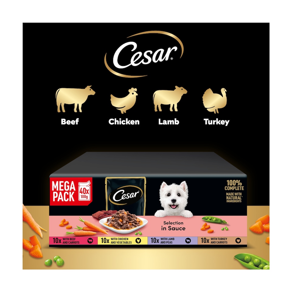 image 1 of CESAR Adult Wet Dog Food Pouches Sauce Mixed Selection in Gravy 40x100g