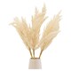 image 2 of Pampas In Cream Vase