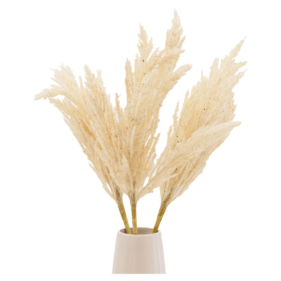 image 1 of Pampas In Cream Vase