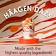 image 2 of Haagen-Dazs Ice Cream - Dulce De Leche 460ml