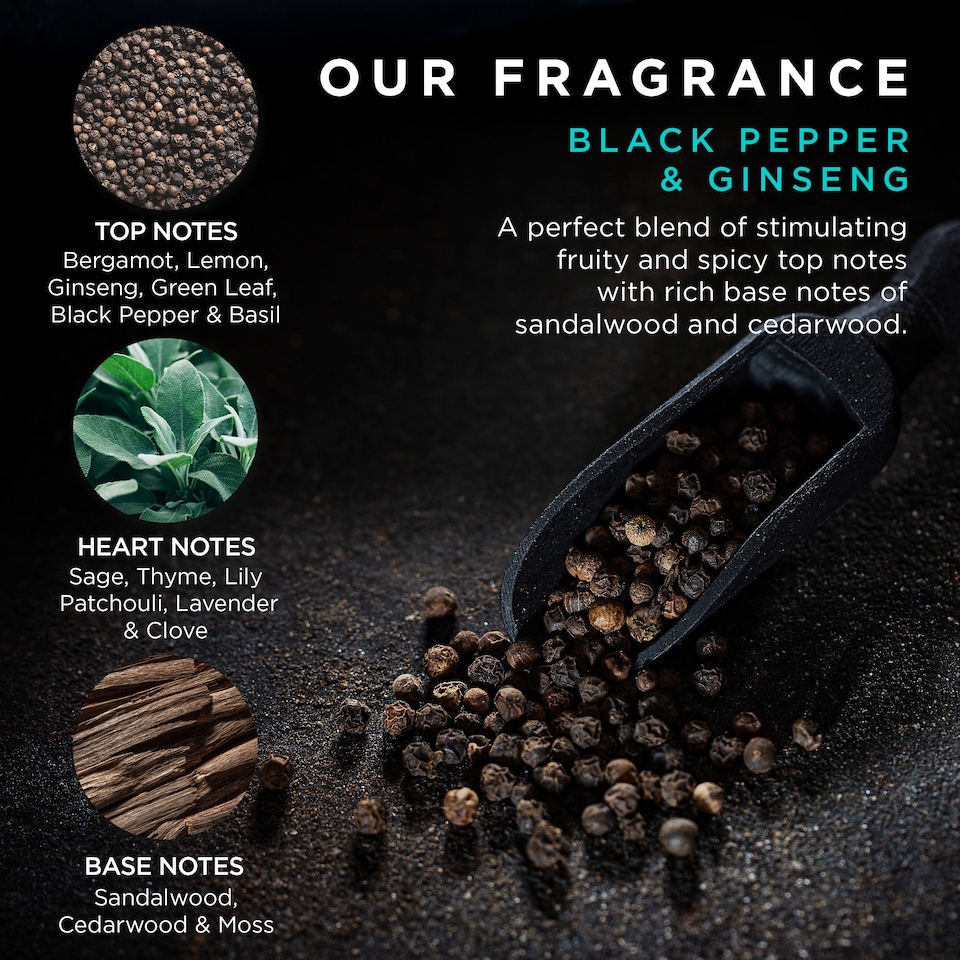 image 1 of Baylis & Harding Black Pepper & Ginseng Men's The Essentials Tin Kit Gift Set