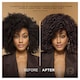 image 5 of L’Oreal Preference 5.3 Virginia Chestnut Brown Permanent Hair Dye