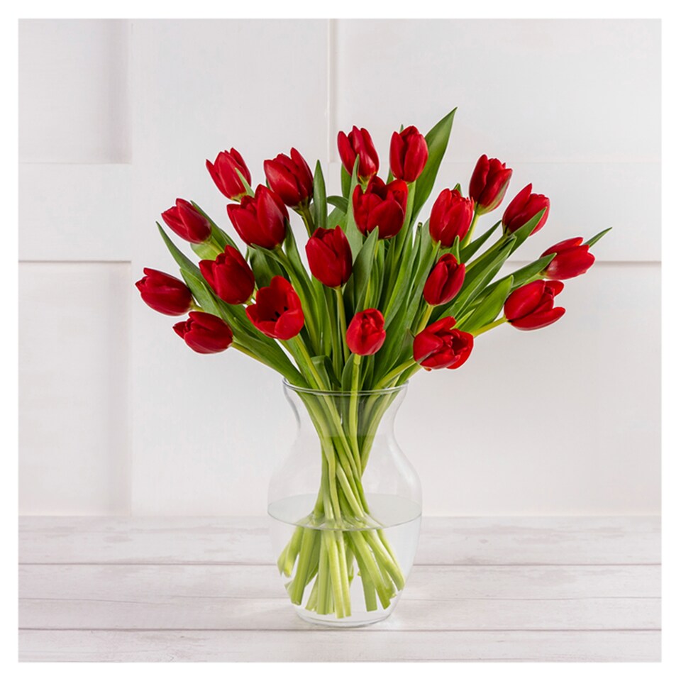 Obrázek 1 pro produkt Kytice tulipány 23 ks
