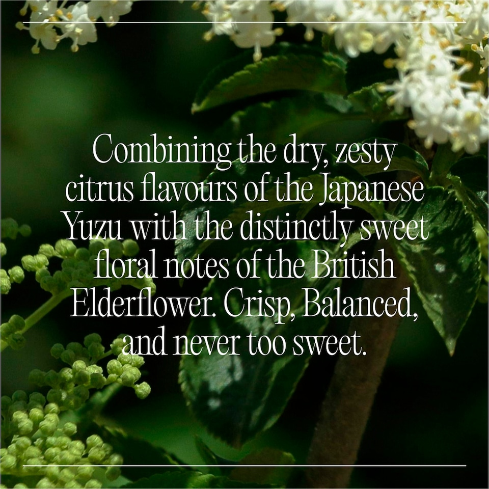 image 1 of Goodrays Natural Cbd Elderflower & Yuzu Drink 4 X 250Ml