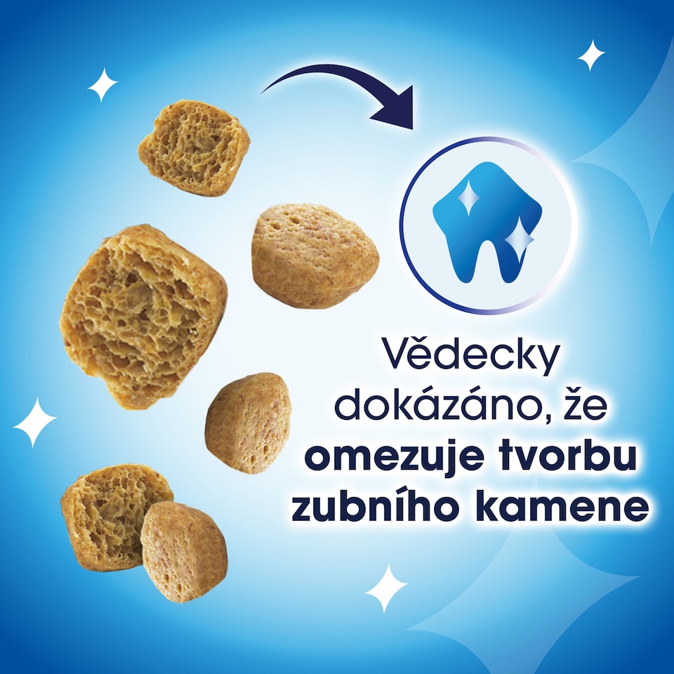 obrázok 1 z Dentalife maškrty pre mačky kura 40 g