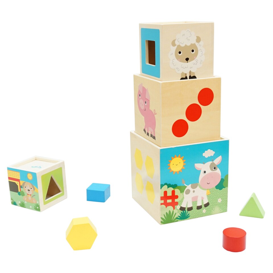 Carousel Wooden Blocks & Shape Sorter