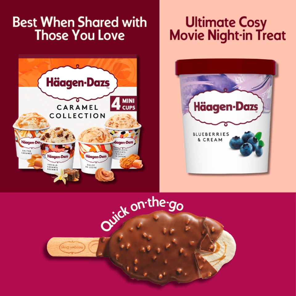 image 1 of Haagen-Dazs Blueberries and Cream Ice Cream 460ml