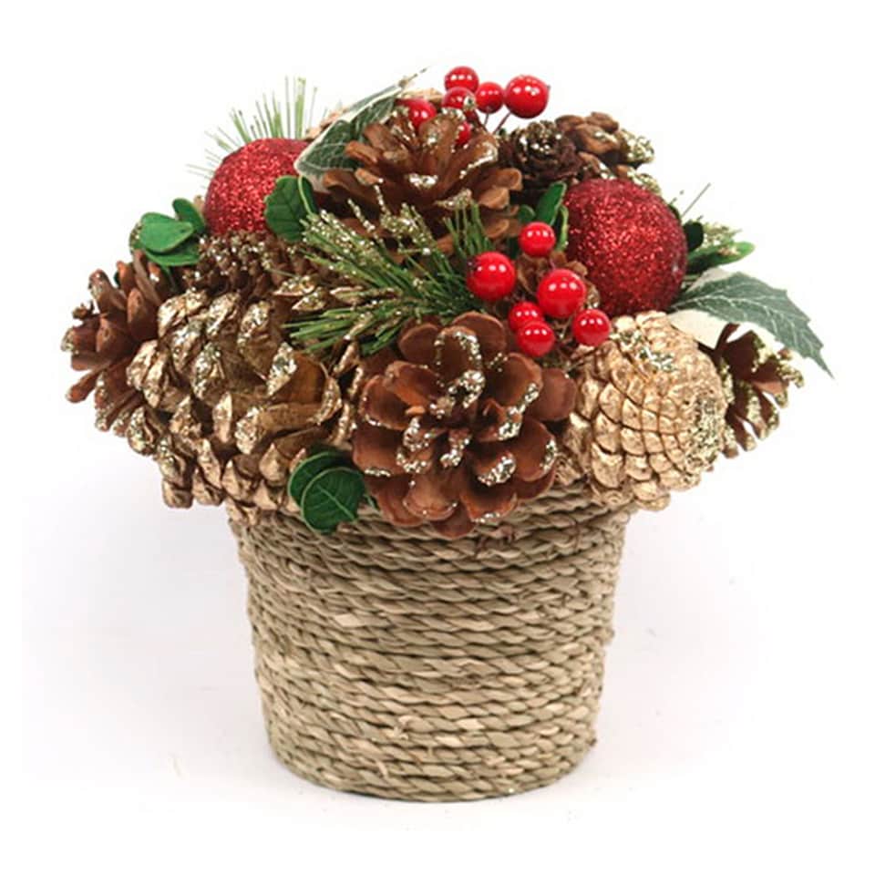 BAYSWOOD PINECONE PLANT