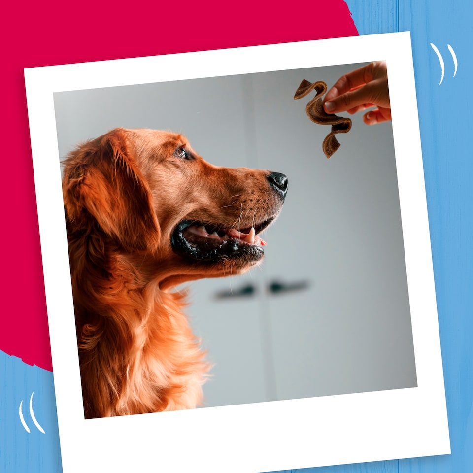 image 1 of BAKERS Sizzlers Bacon and Cheese Dog Treats 315g