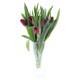 image 1 of Bouquet of Tulips 15 Stems
