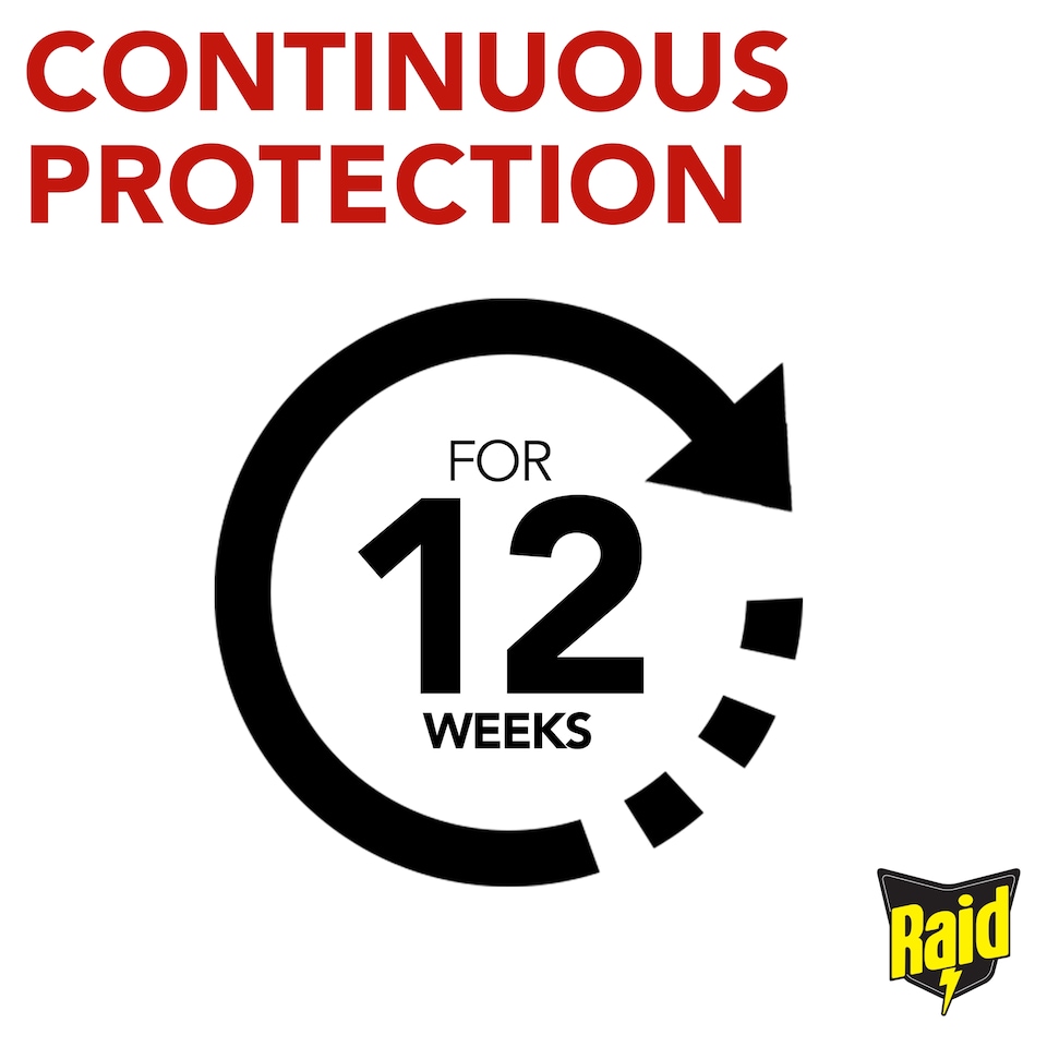 image 1 of Raid Ant & Insect Killer Powder 250g