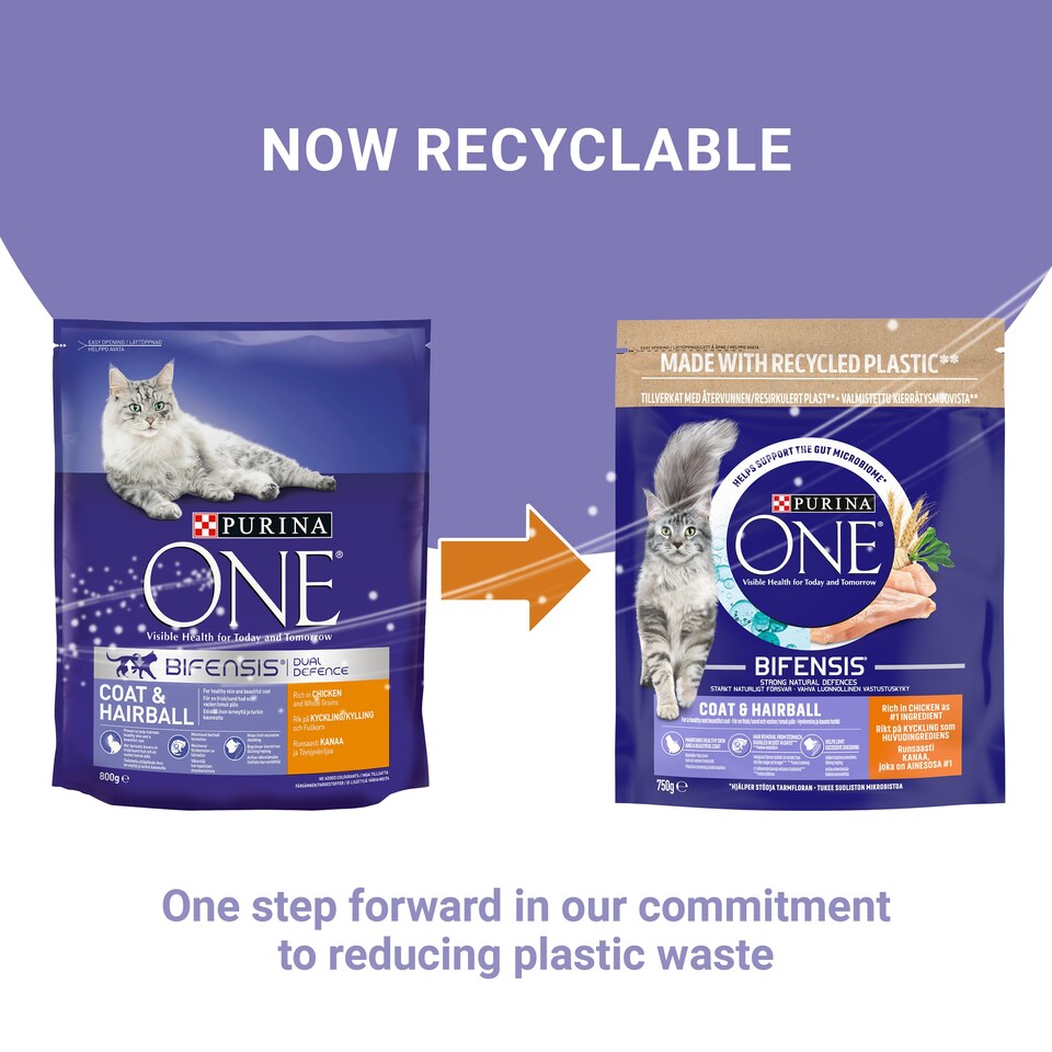 image 1 of PURINA ONE Coat and Hairball Chicken Dry Cat Food 750g