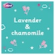 image 2 of Calpol Vapour Plug In & Nightlight 3+ Months - Lavender & Chamomile