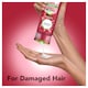 image 4 of Herbal Essences Love Me Longer Shampoo 400Ml