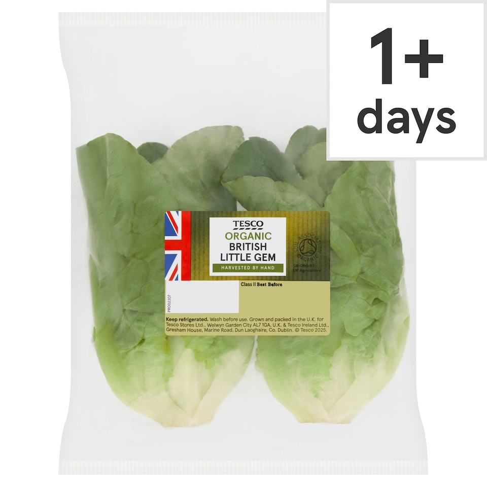 Tesco Organic Little Gem Twin Pack