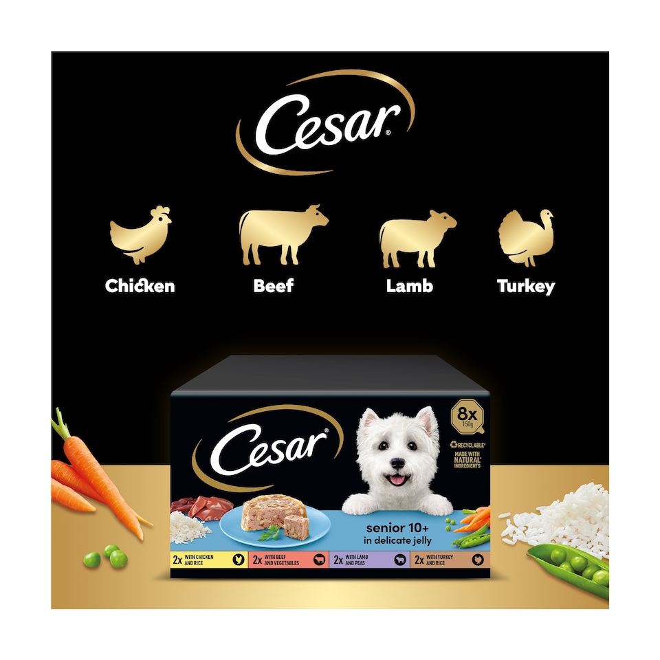 image 1 of Cesar Senior Wet Dog Food Trays Meat in Delicate Jelly 8 x 150g
