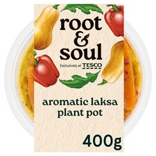 Root & Soul Aromatic Laksa Plant Pot 400g