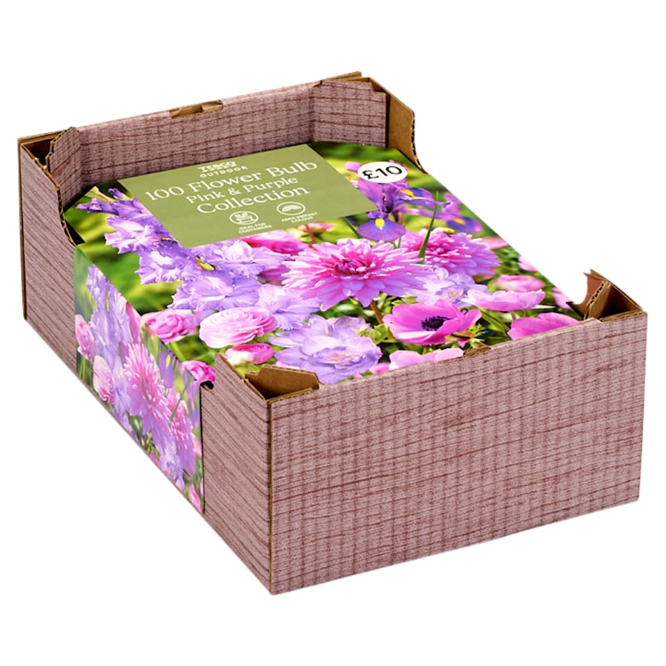 Tesco 100 Flower Bulb Pink And Purple Collection