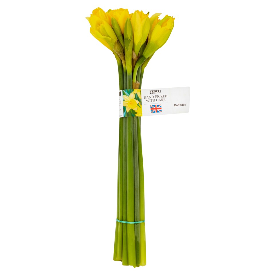 Tesco Daffodils Bunch