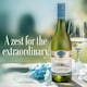 image 4 of Oyster Bay Sauvignon Blanc 75Cl