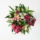 image 3 of Rainbow Alstroemeria