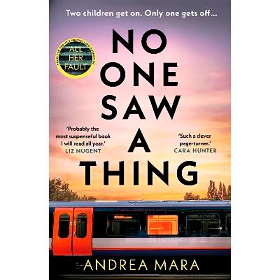 No One Saw A Thing Andrea Mara